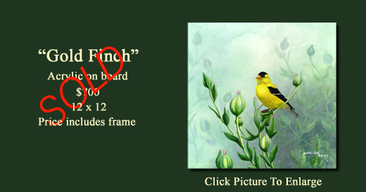 Gold Finch Sold